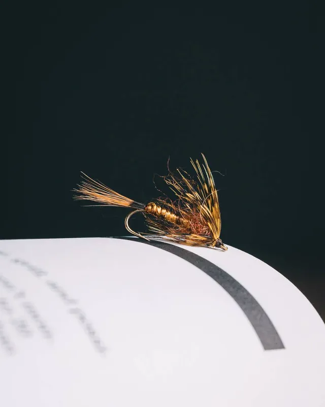 Jonny King‘s Swetfly