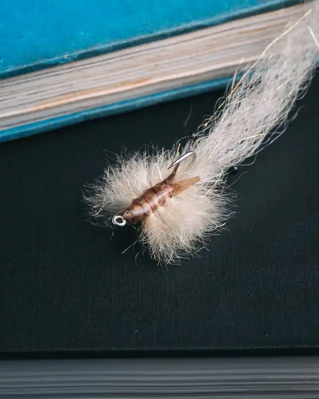 Joe Webster‘s Tactical Shrimp TB