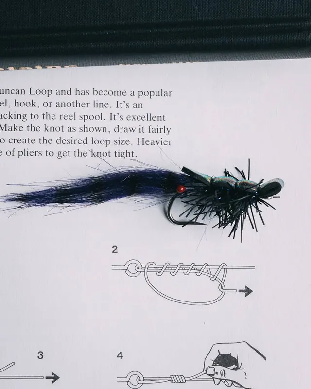 Brita Fordice‘s Guido Shrimp