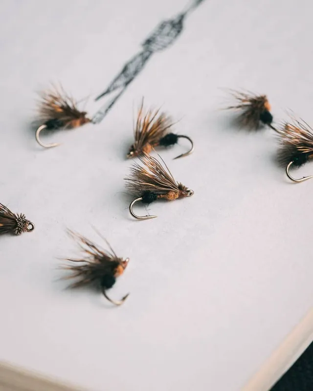 Sean Witman‘s Ant