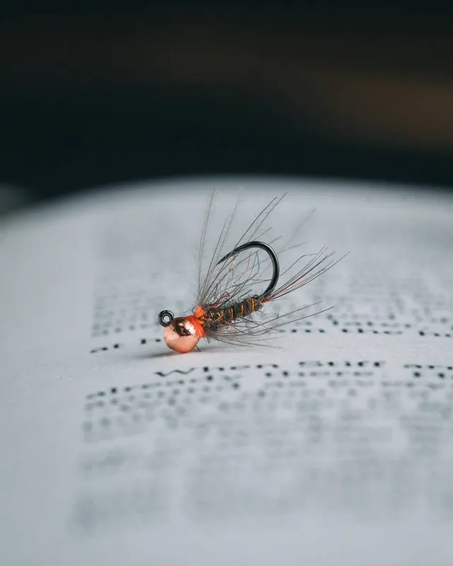 Sean Witman‘s CDC Orange Squirrel