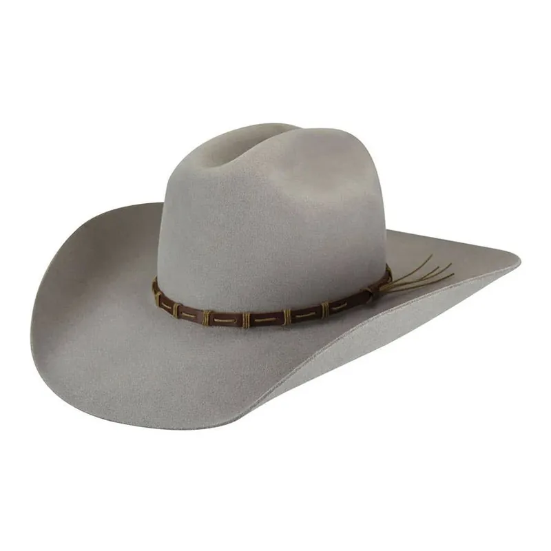 Bailey Unisex Alsworth 3X Felt Hat