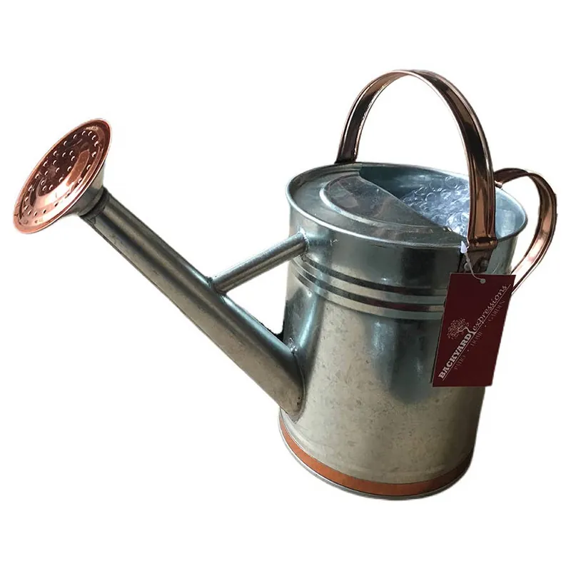 Backyard Expressions Watering Can