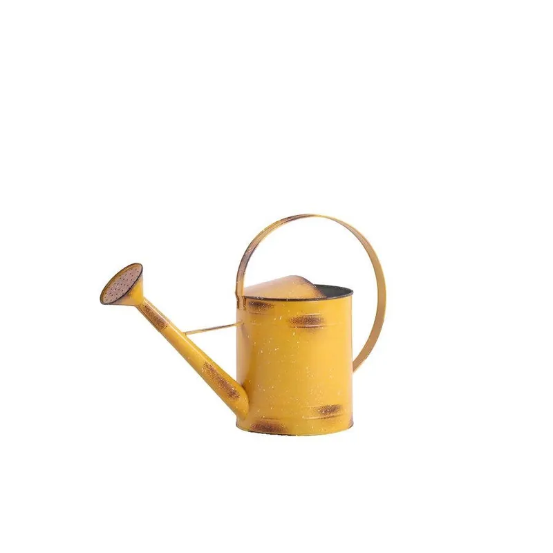 Backyard Expressions Colored Metal Watering Can
