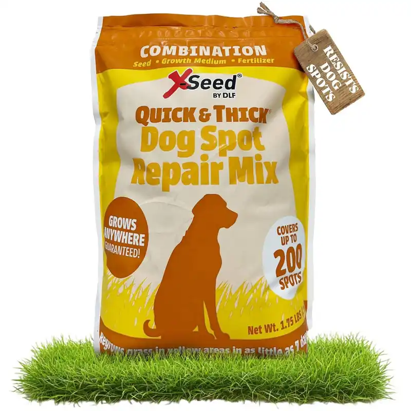 X-Seed Quick and Thick Dog Spot Repair Lawn Seed Mix 1.75 lb North 40 Outfitters