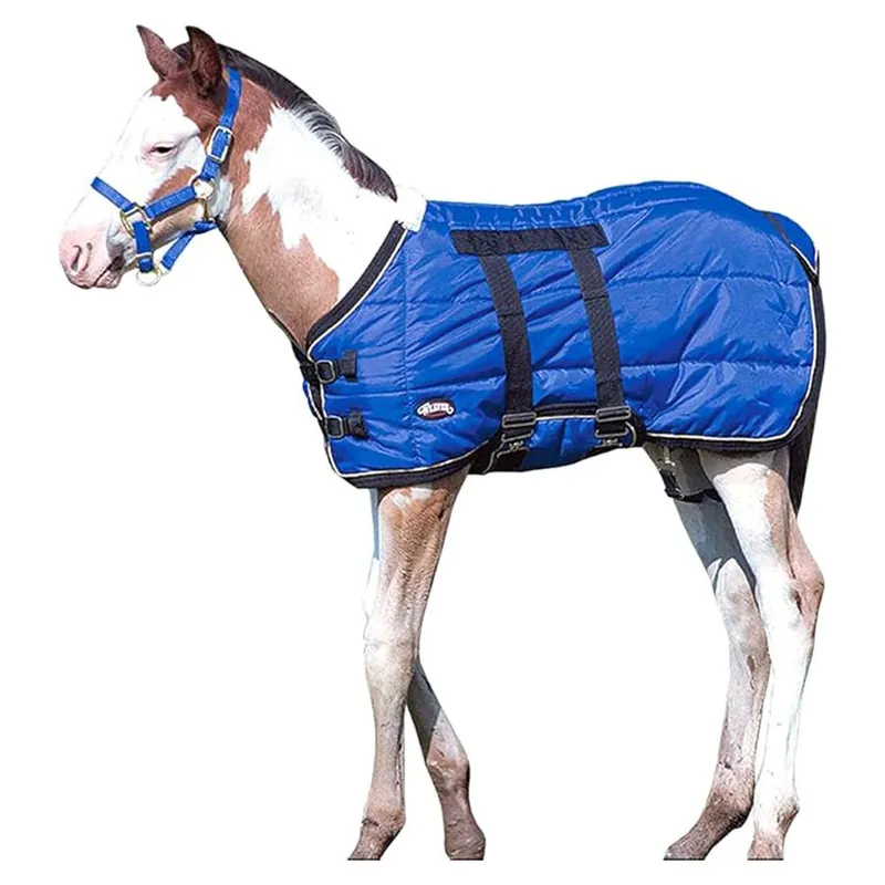 Weaver Equine Newborn Foal Blanket