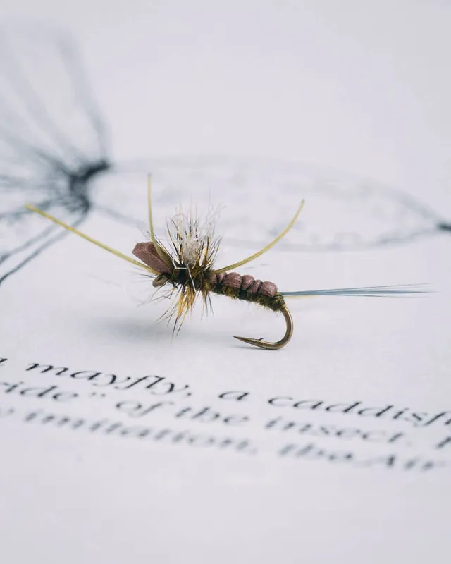 Umpqua Andrew Grillos‘ User Friendly - BWO - 18