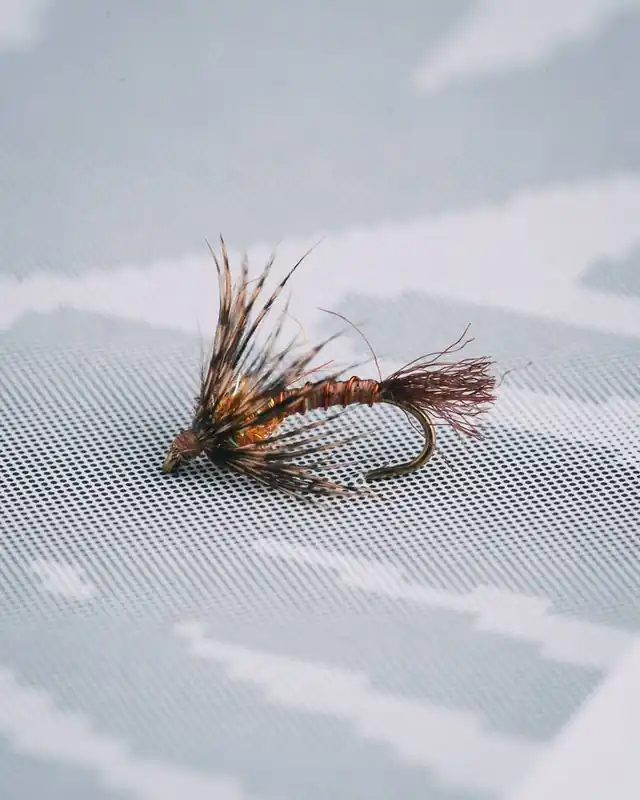 Umpqua Craig Mathews‘ Micro Beeley - Caddis - 16
