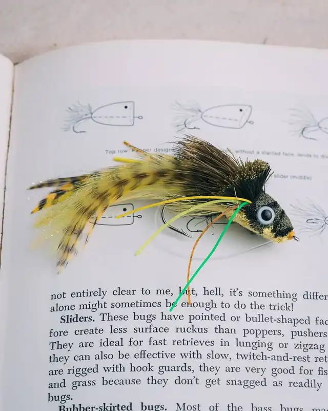 Umpqua Larry Dahlberg‘s Diving Bug