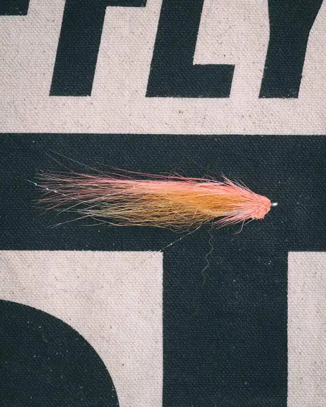 Umpqua Dave Chouinard‘s Halo Shrimp