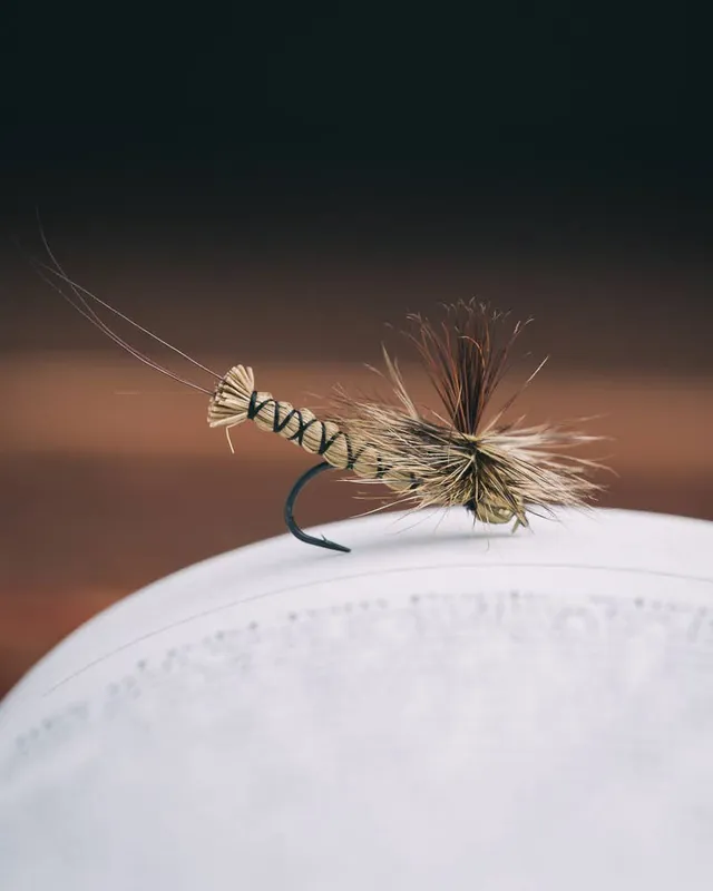 Umpqua Mike Lawson‘s Spent Partridge Caddis