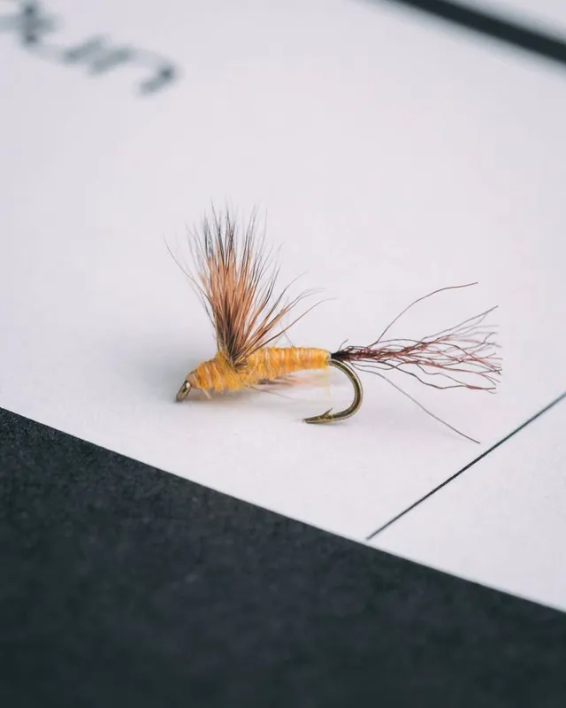 Craig Mathews‘ Sparkle Dun