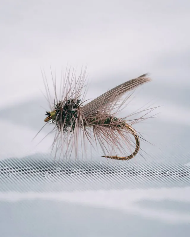 Umpqua Mike Lawson‘s E-Z Caddis