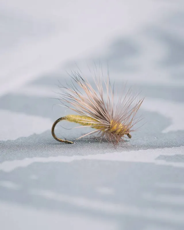 Umpqua Mike Lawson‘s Green Paradrake