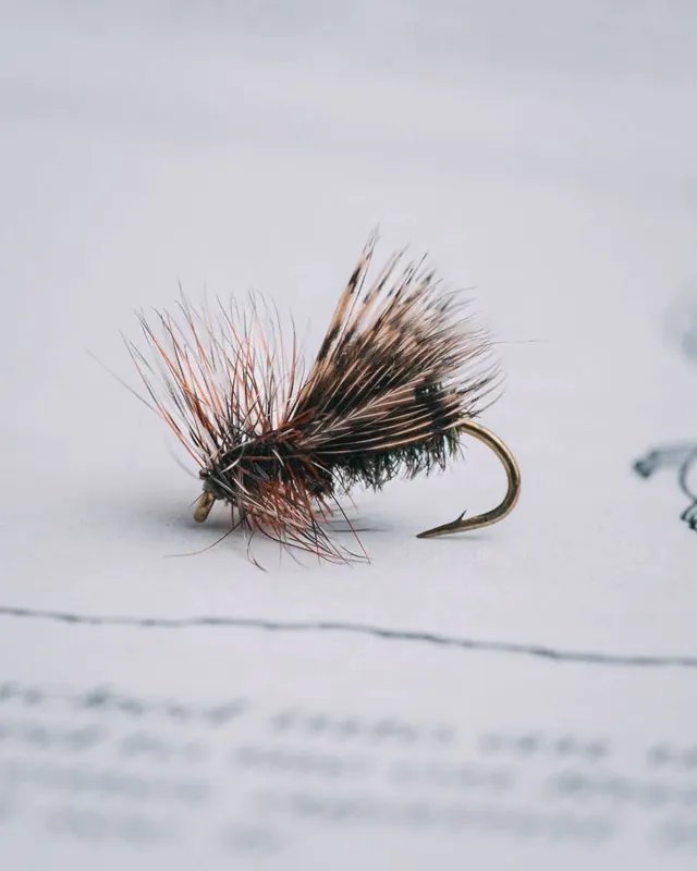 Umpqua Mike Lawson‘s Hemingway Caddis