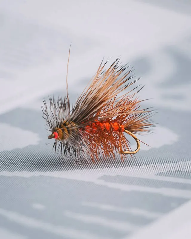 Umpqua Dave Student‘s Fishalicious