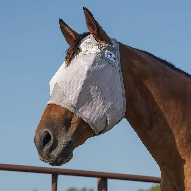 Cashel Crusader Standard Fly Mask