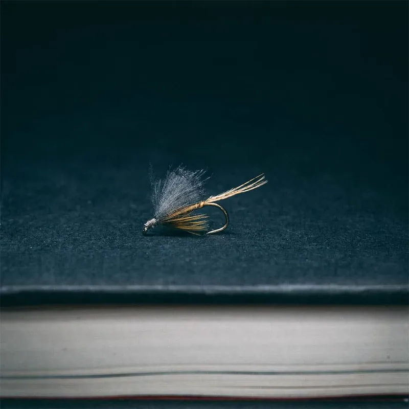 Rene Harrop‘s Flavilinea CDC Biot Emerger
