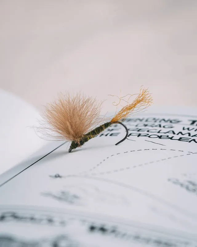 Craig Mathew‘s CDC Sparkle Dun