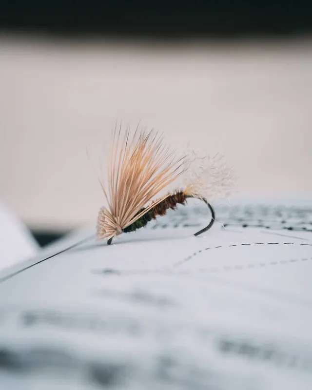 Craig Mathew‘s PT X-Caddis