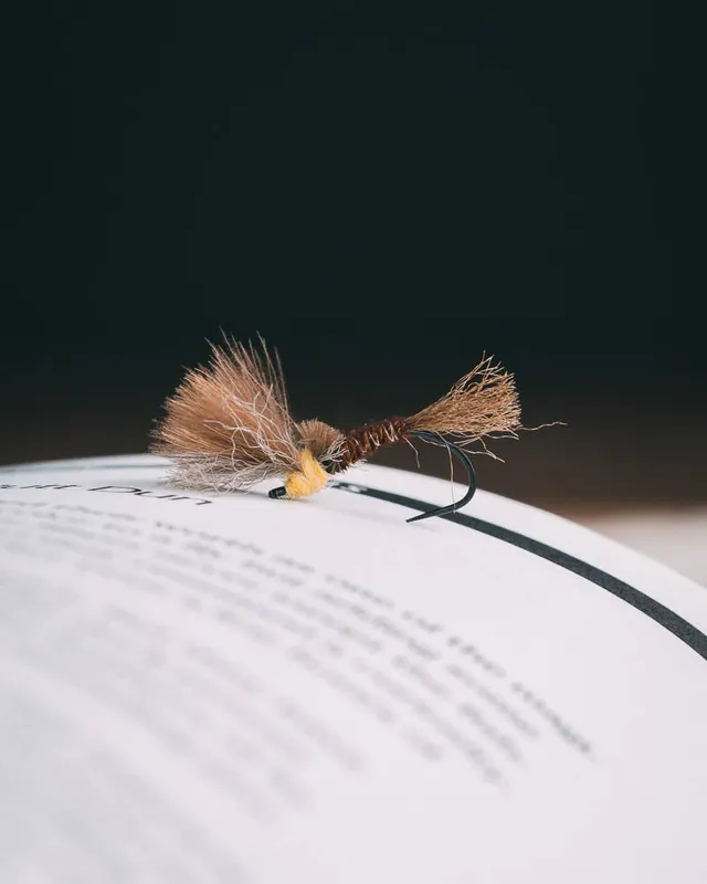 Craig Mathew‘s PT Emerger