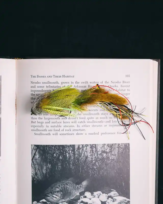 Jeremy Clapp‘s Fleein‘ Cray