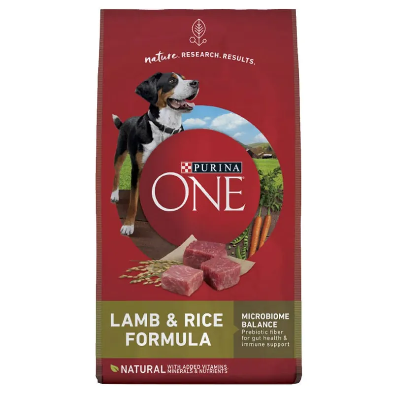 Purina ONE Lamb & Rice Formula Dry Dog Food