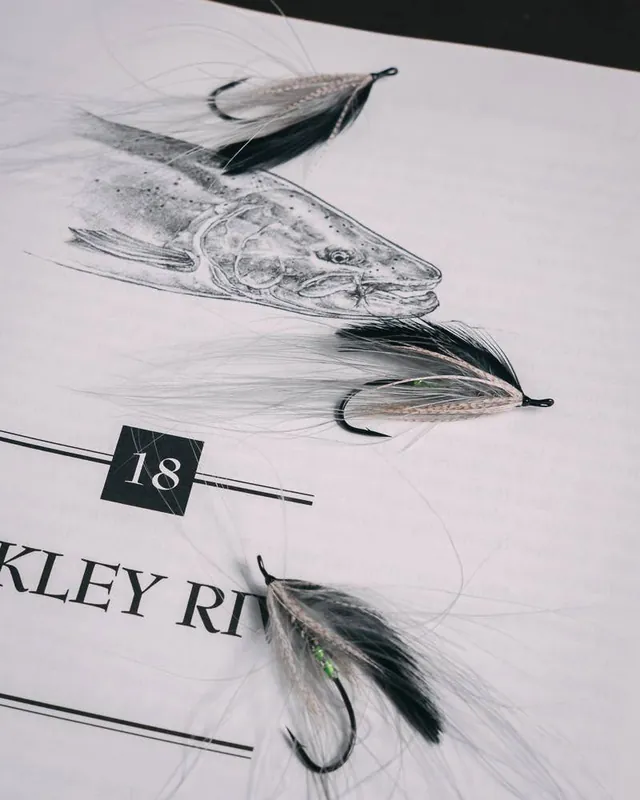 Umpqua Brian Silvey‘s Spey Silver - 2