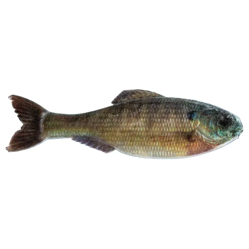 6th Sense Fishing Panorama Bait
