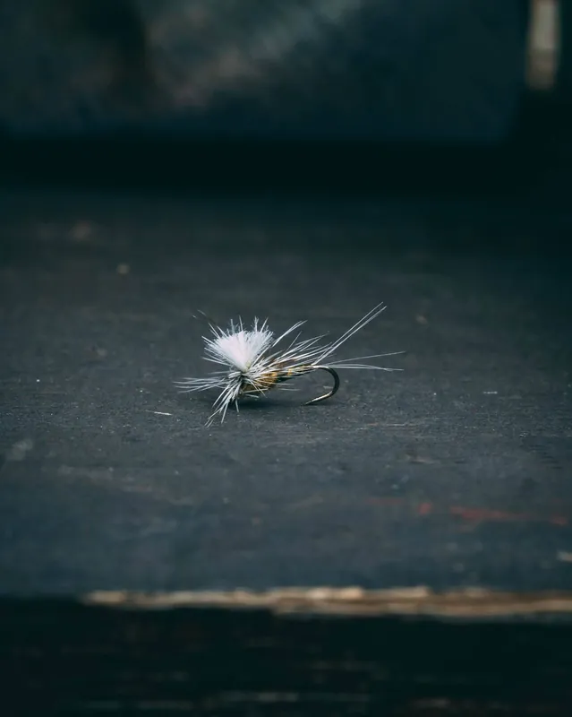 Rene Harrop‘s CDC Biot Para Spinner - Flavilinea