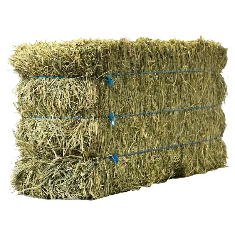 Anderson 3-Tie Timothy Hay Bale