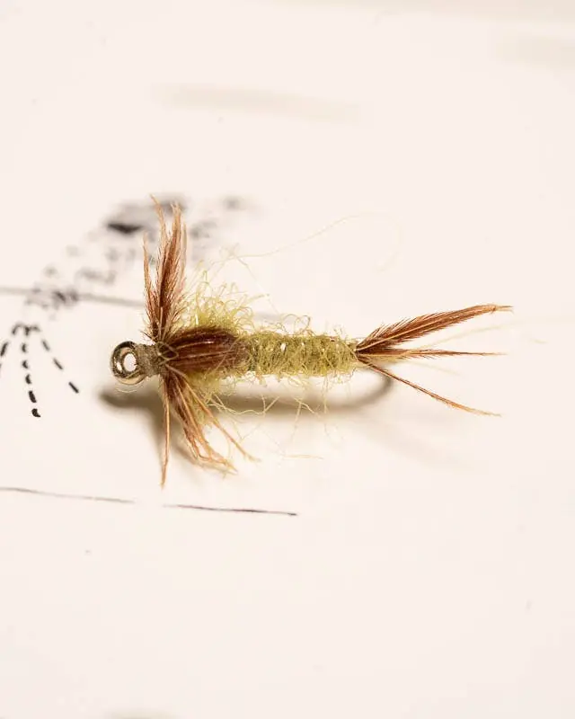 Polar Nymph