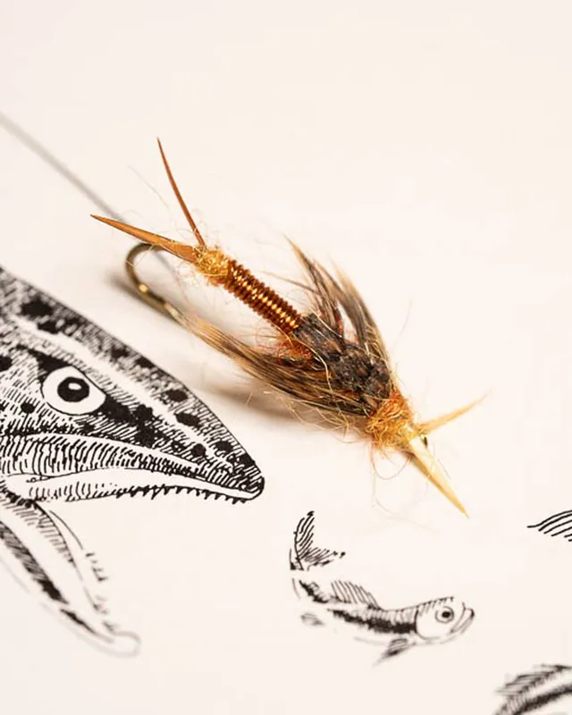 Tom Larimer Copper Back Stonefly