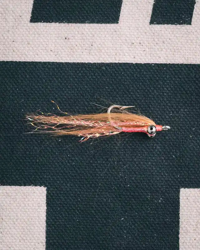Randall Kaufman‘s Christmas Island Special BC