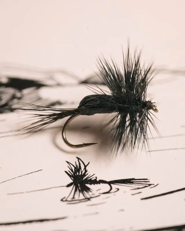 Jack Horner‘s Humpy Black Out