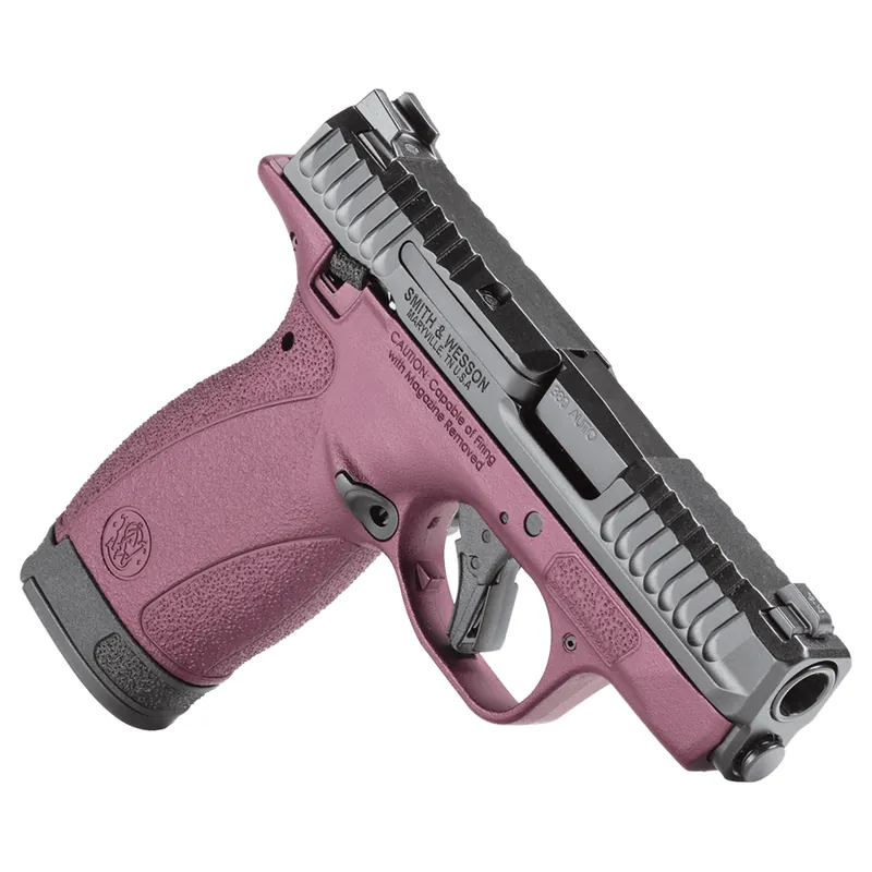 Smith & Wesson .380 ACP Bodyguard 2.0 Semi Auto Pistol