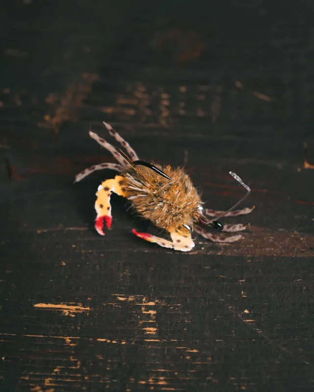Doug McKnight‘s Danger Muffin Crab