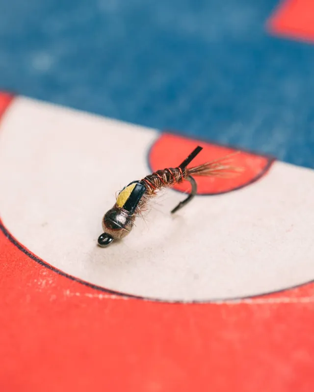 Tom Baltz‘s Tungsten Bronze Splitback Nymph