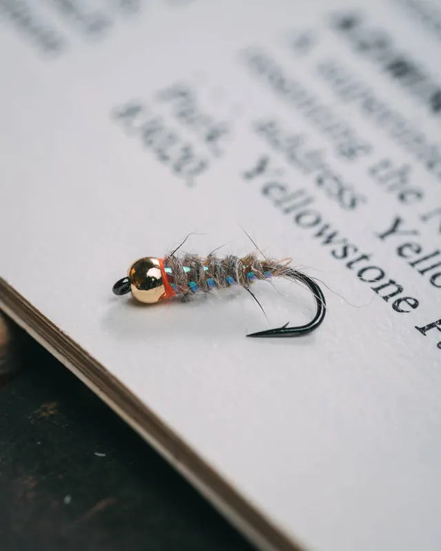 Sexy Walt’s Worm