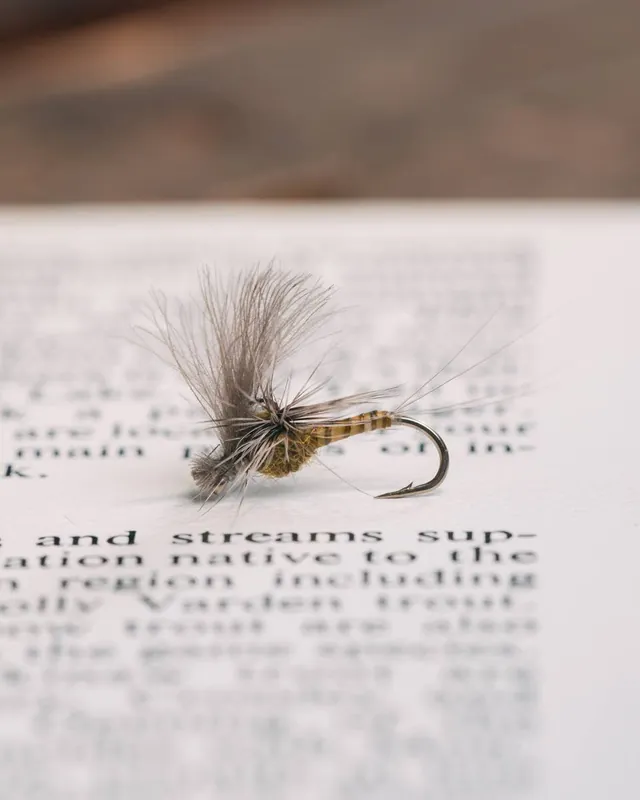 Tod Smith‘s Brianne Dun