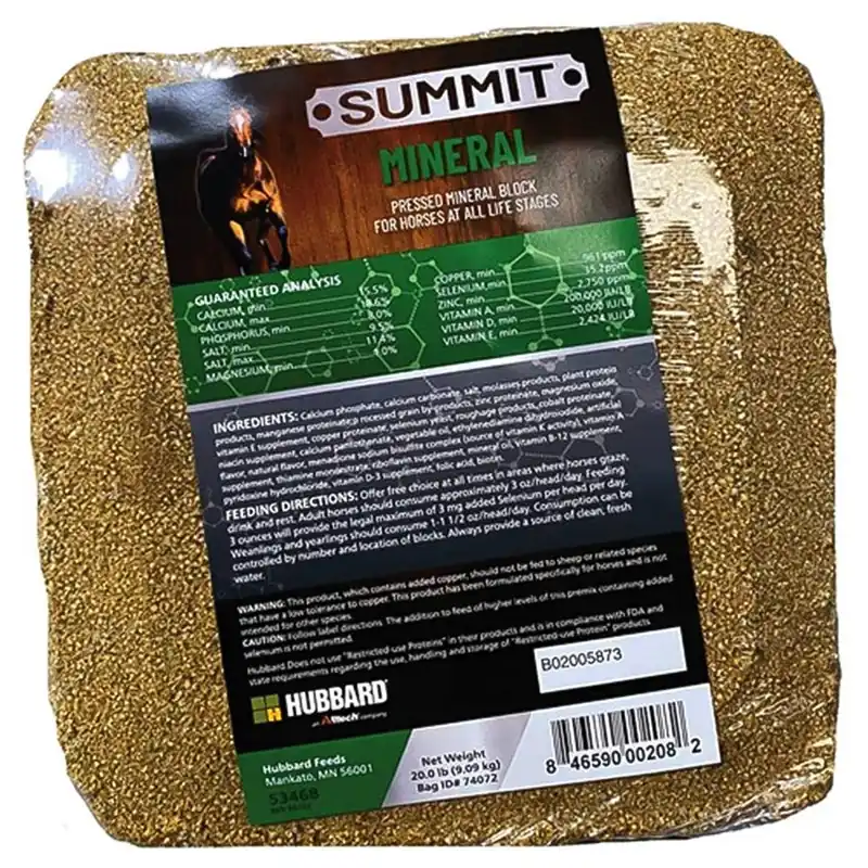 Hubbard Feeds Summit Equine Mineral Horse Block