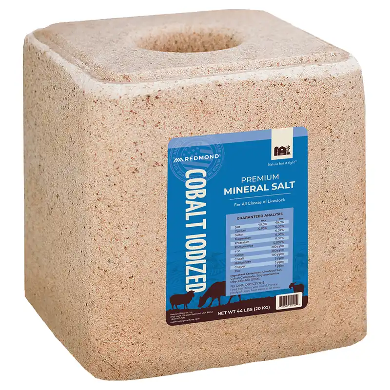 Redmond Premium Mineral Cobalt Iodized Salt Block