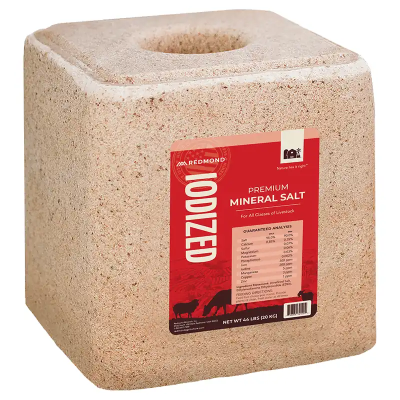 Redmond Premium Mineral Iodized Salt Block