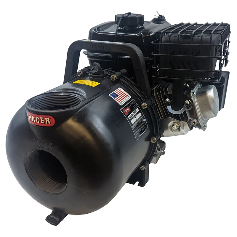 Pacer Pumps S Series Thermoplastic Water Transfer Pump