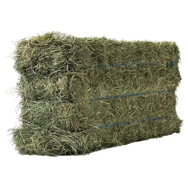 Anderson 3 Tie Orchard Grass Hay Bale