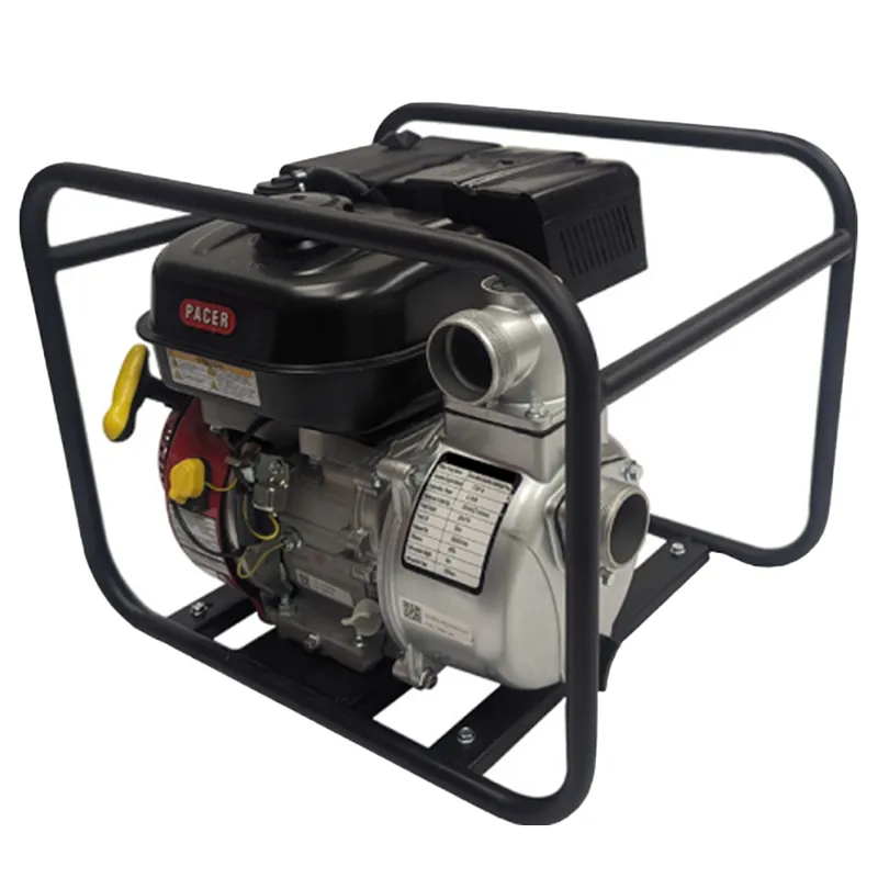 Pacer Pumps M Series Metal Water Transfer Pump