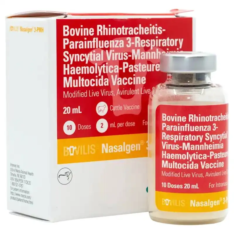 Animal Health International Bovilis Nasalgen 3-PMH Vaccine