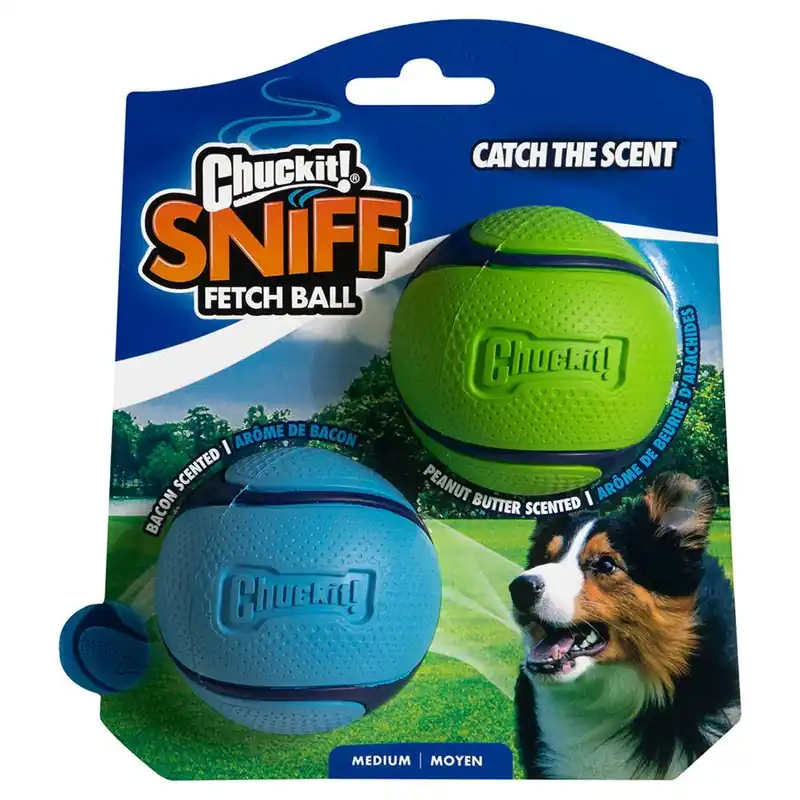 Chuckit! Sniff Fetch Ball Duo Dog Toy