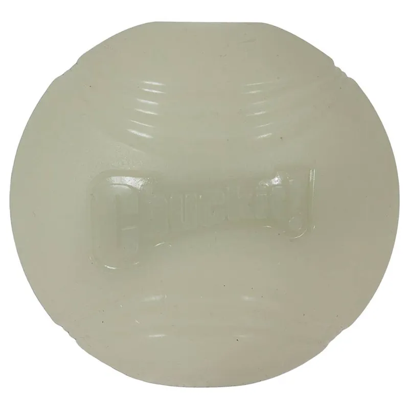 Chuckit! Max Glow Fetch Ball Dog Toy
