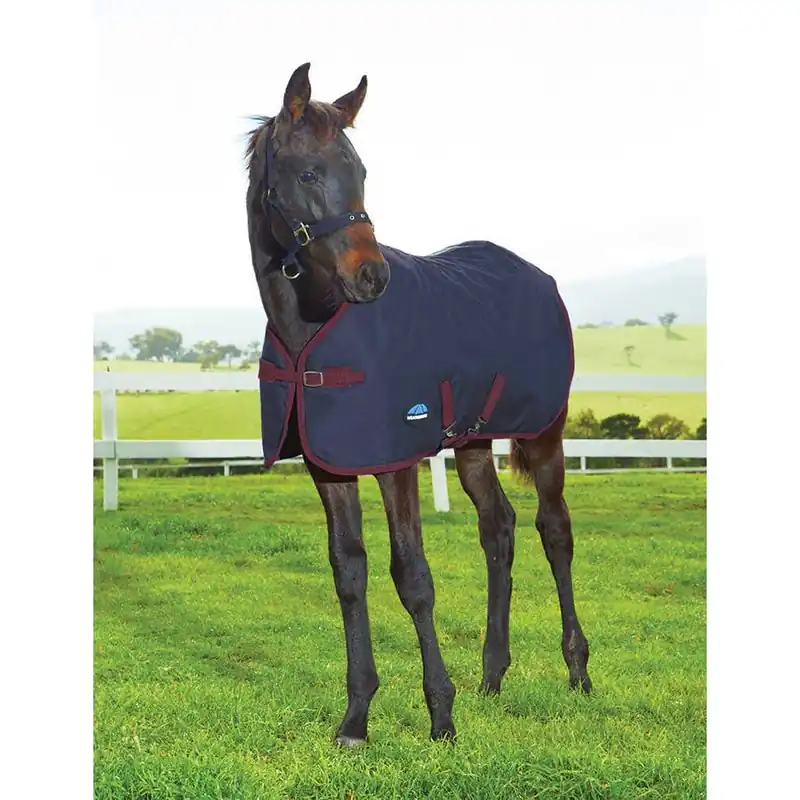 WeatherBeeta 1200D Foal Standard Neck Blanket